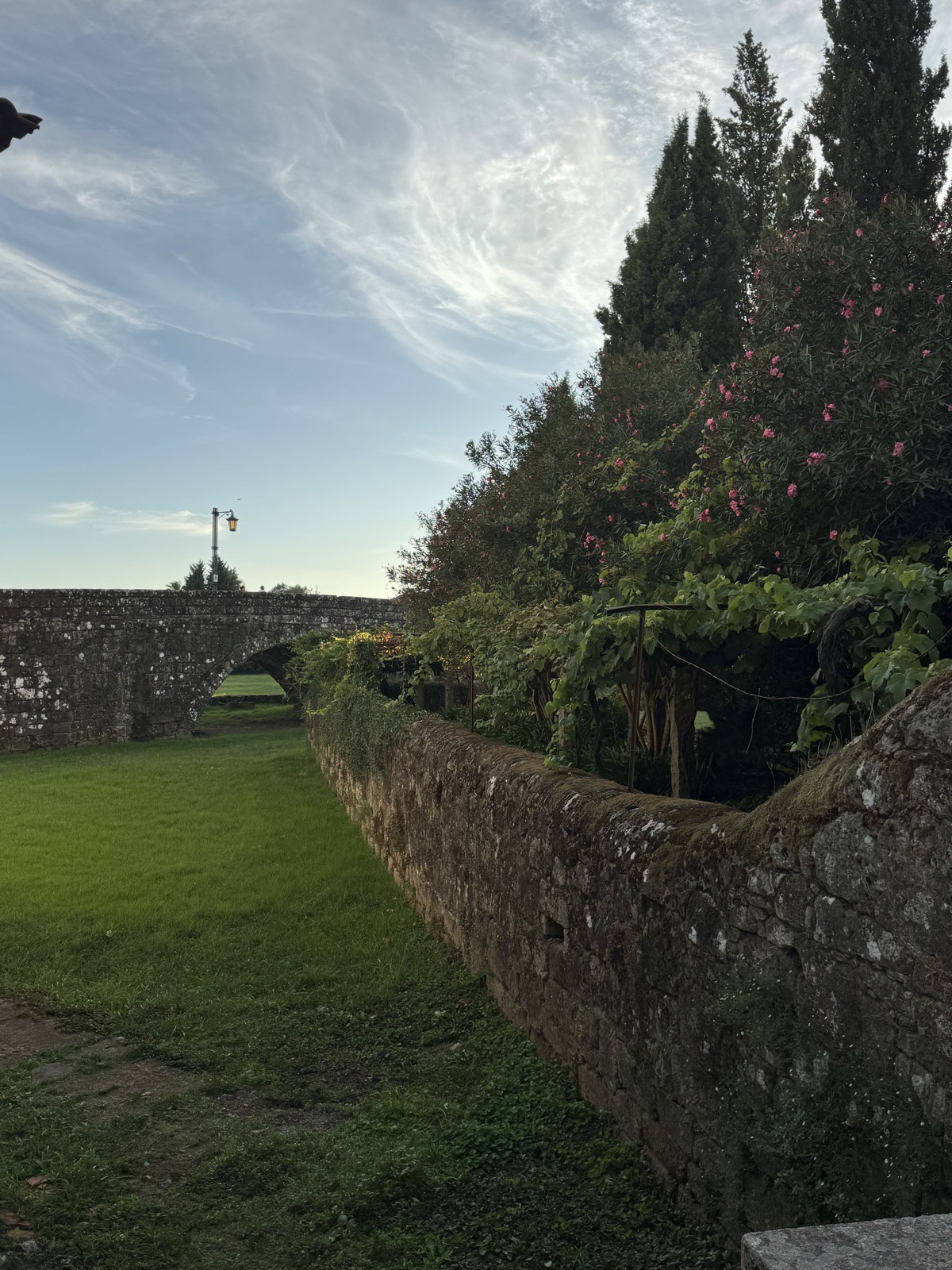 A mossy stone wall running beside a lawn, roses and grapevines spilling over it, an
          arched stone bridge in the distance under a pale sky.