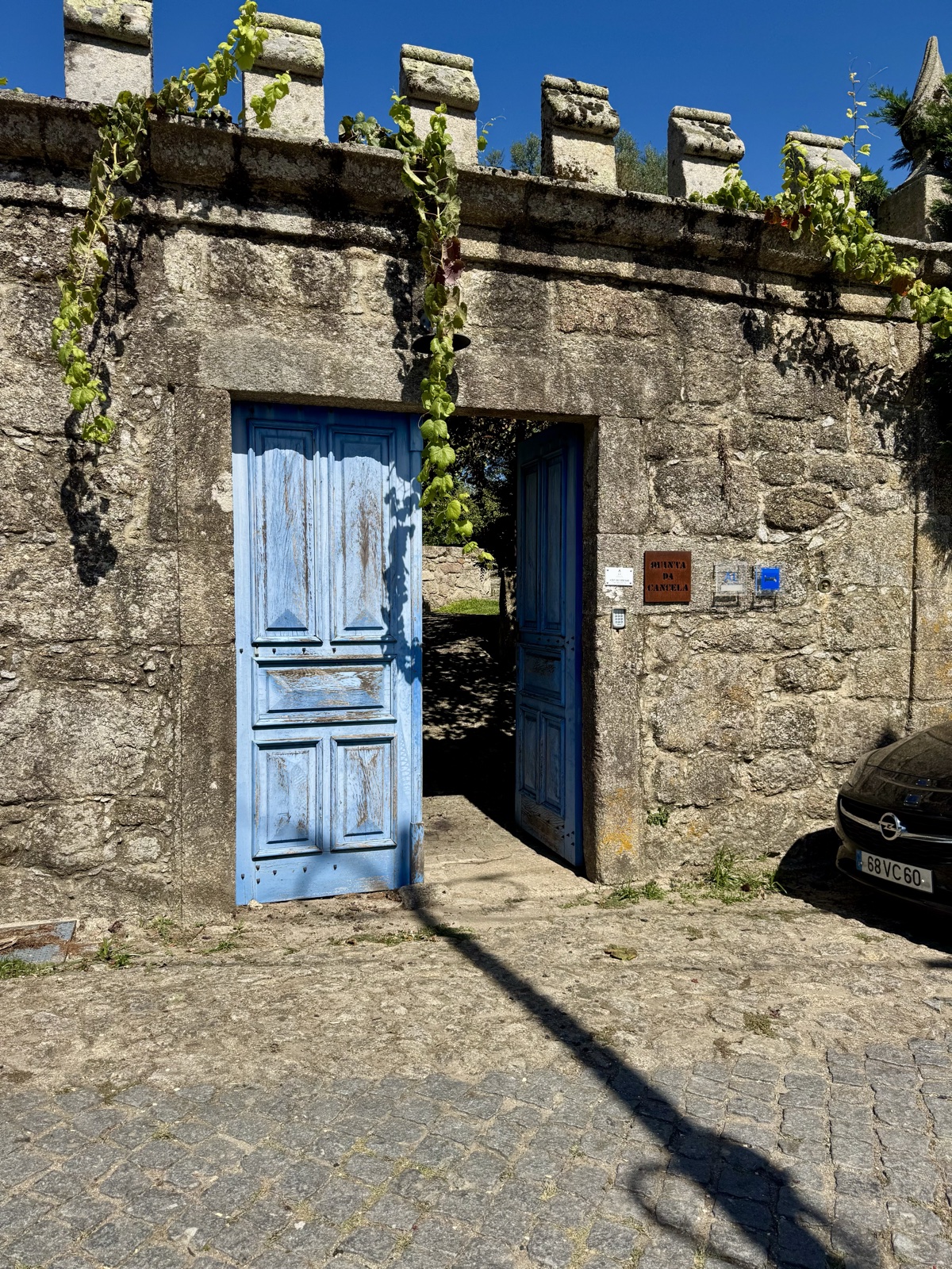 Tall weathered blue wooden doors set into a crenellated stone wall, vines trailing over the top.
