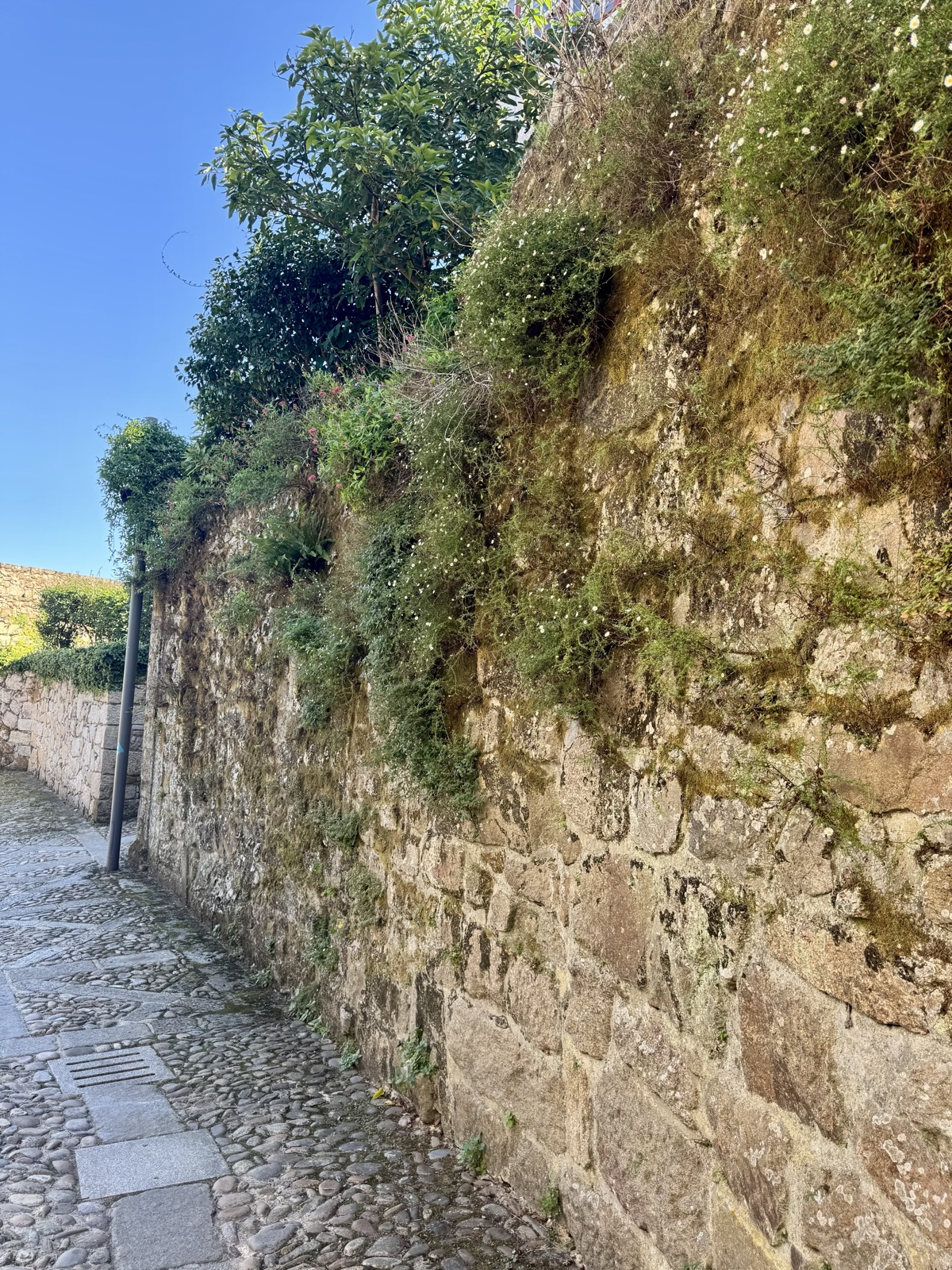 A cobbled lane climbing beside a high, mossy stone wall.