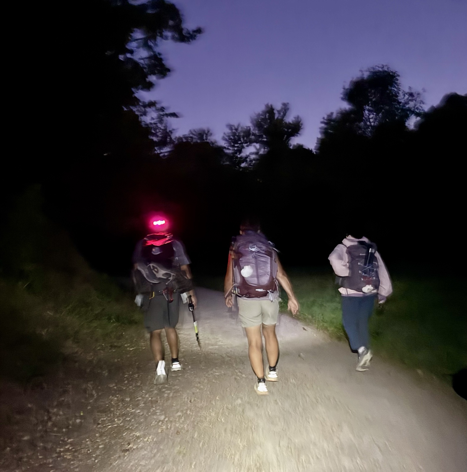 Three walkers seen from behind on a dirt track in the dark, headlamps and a red rear light picking them out against the trees.