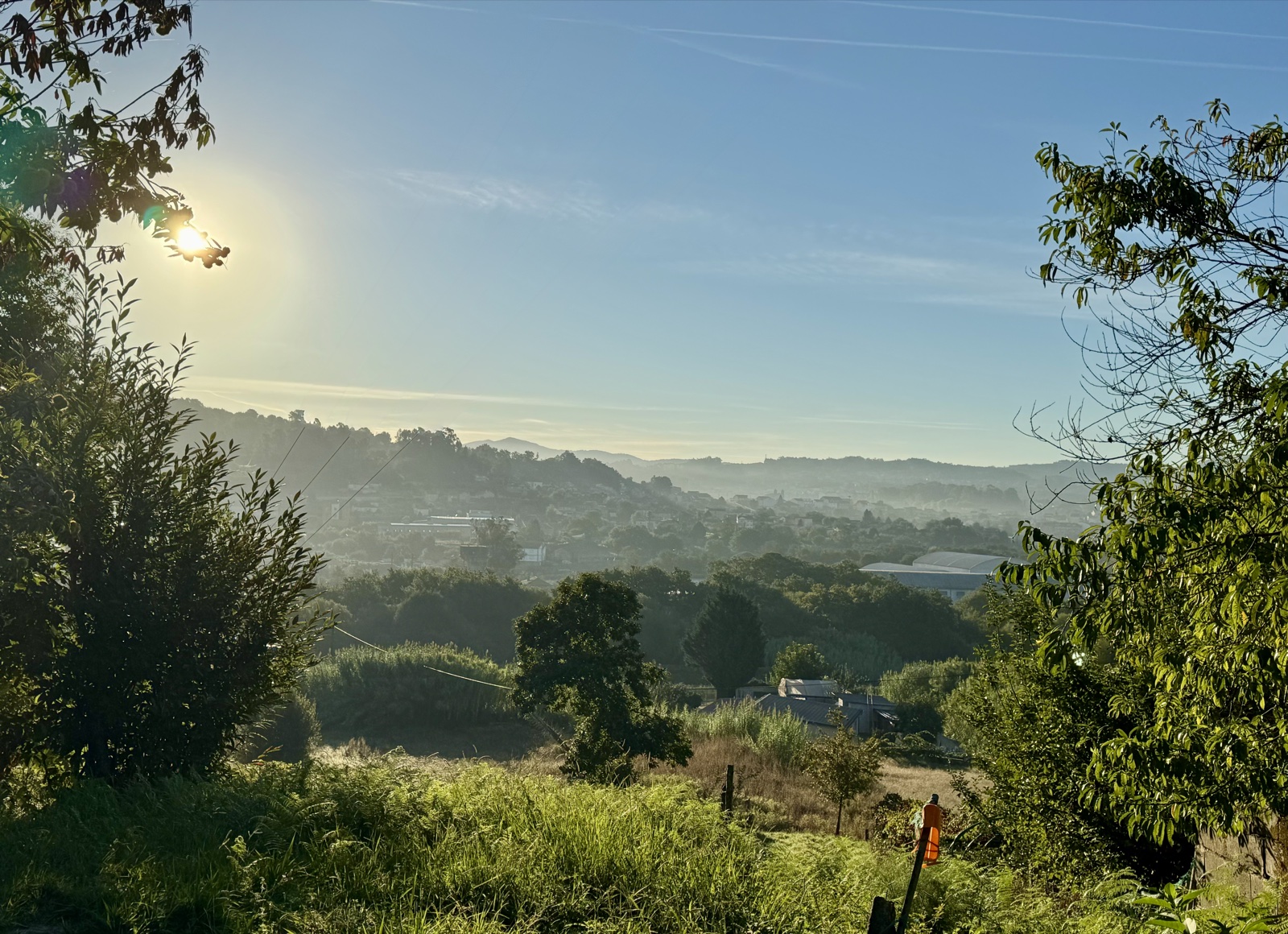 The morning sun low over a green valley, trees framing the view.