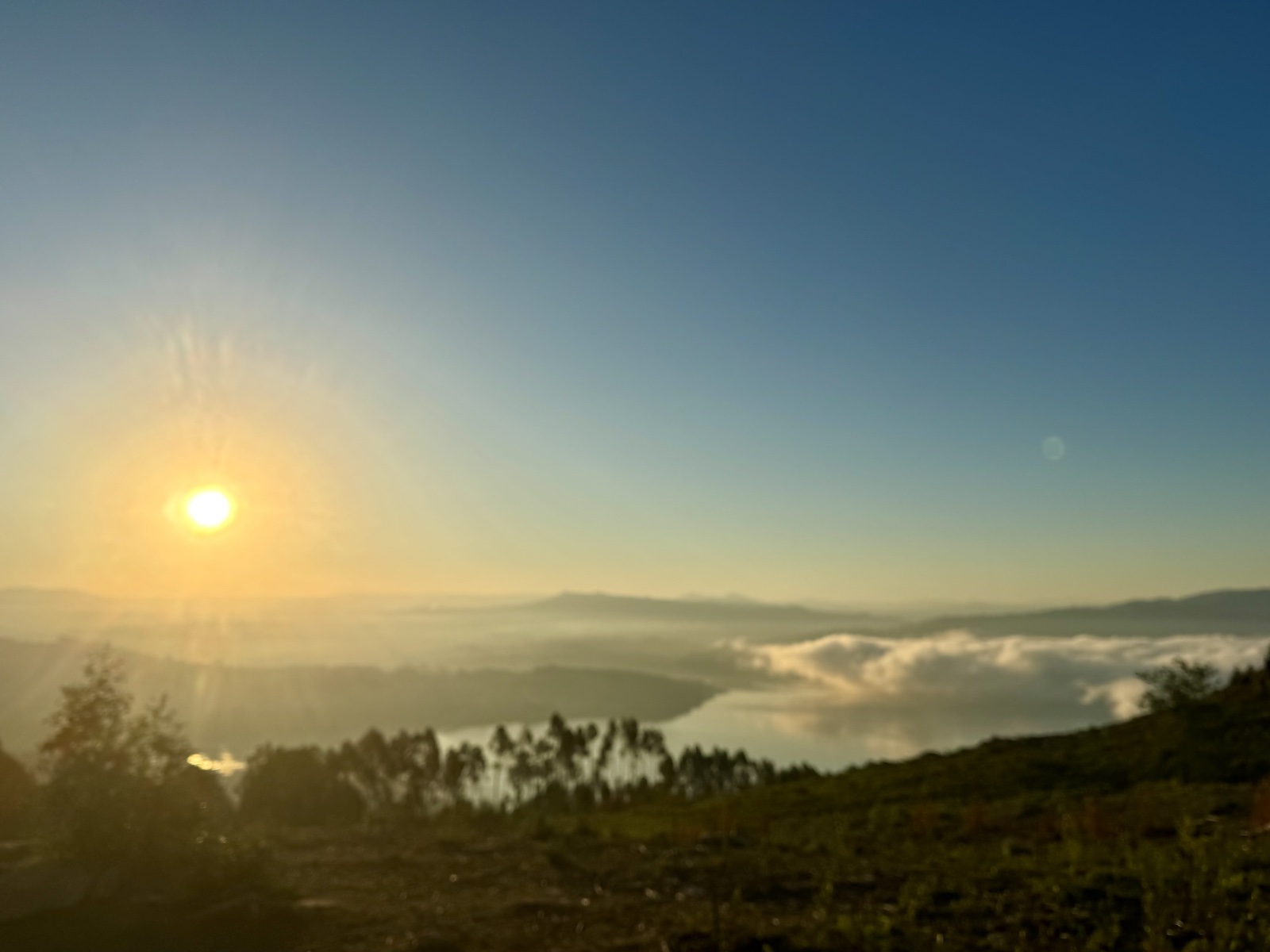 The morning sun over a valley filled with low cloud, eucalyptus trees along a green hillside.