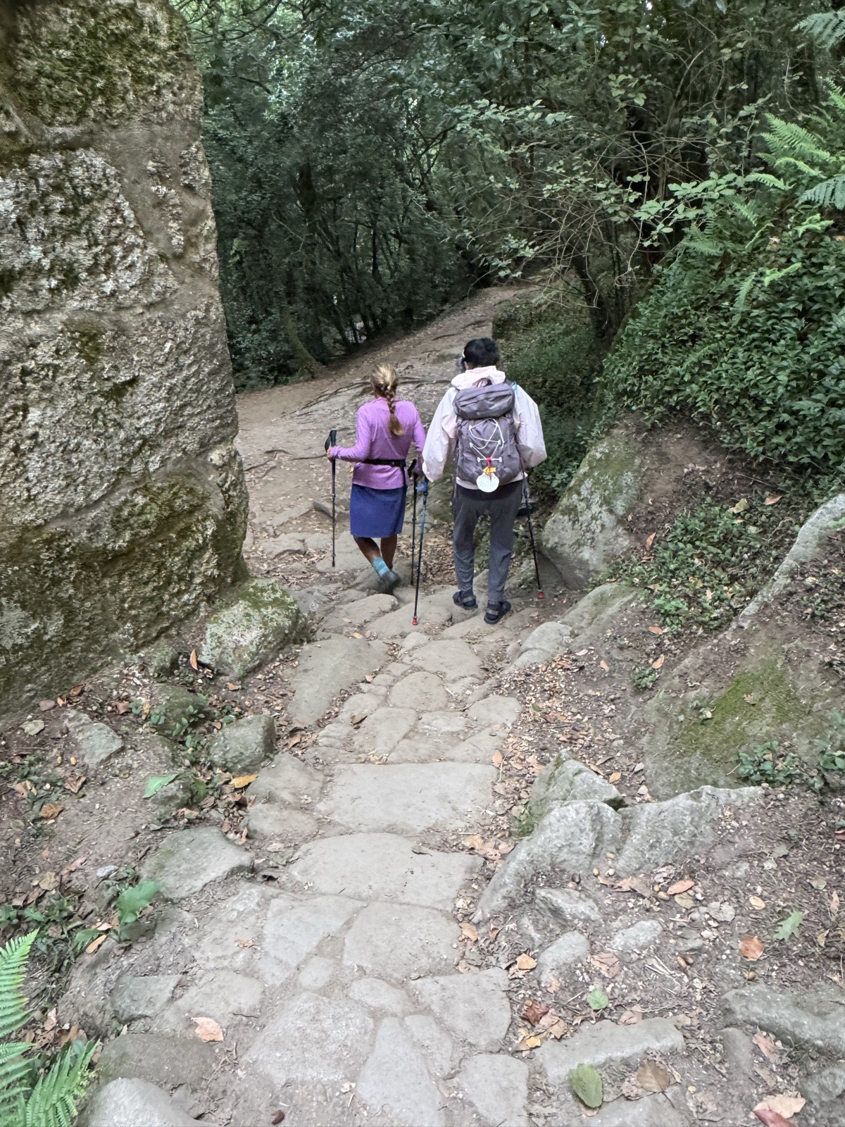 Two hikers with poles descending old stone steps beside a moss-covered wall in the forest.