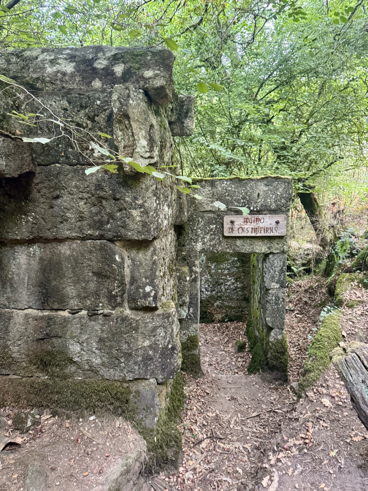 A crumbling stone mill wall with a small wooden name sign, ivy and trees growing around it.