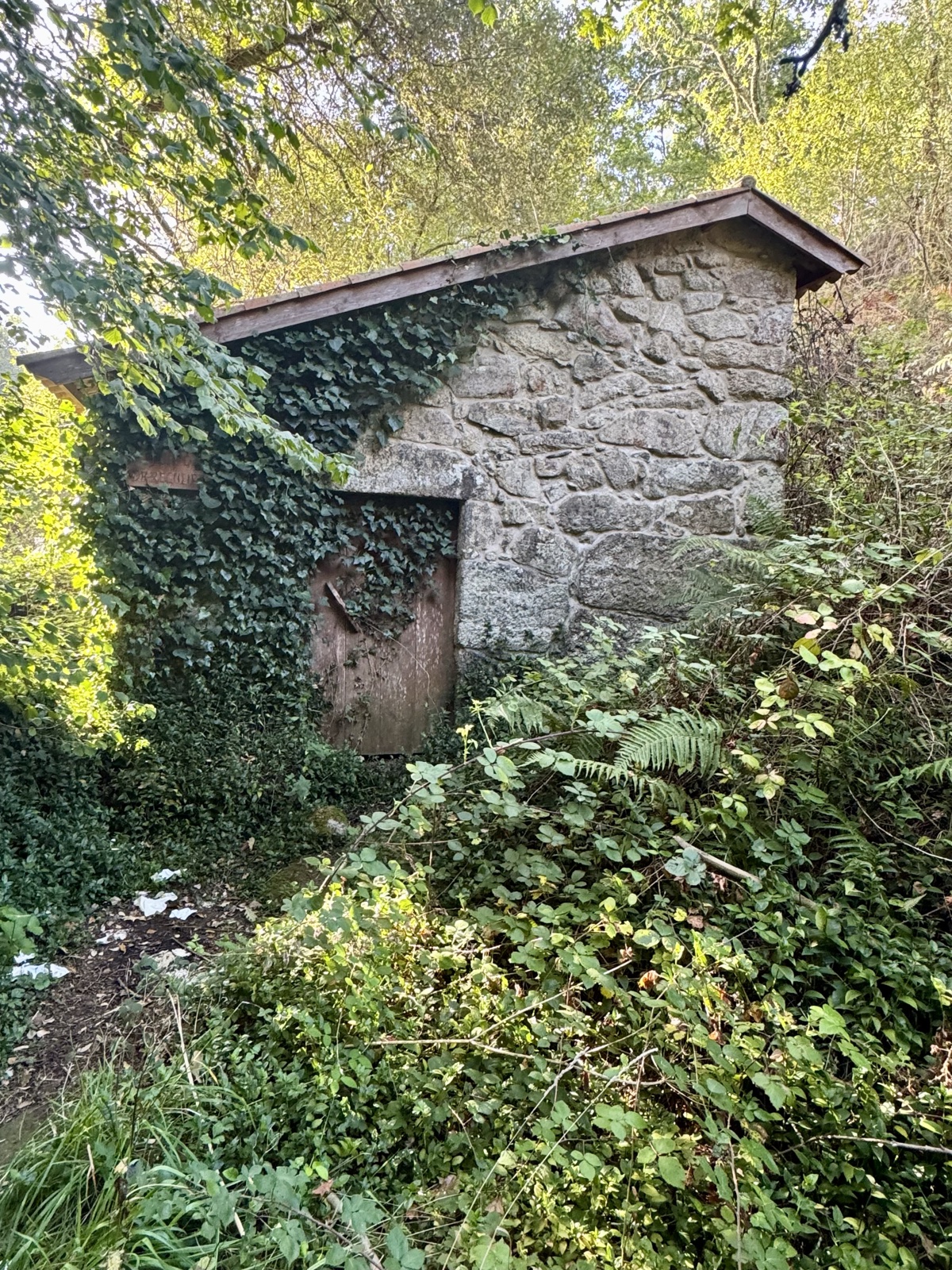 A small stone mill house with a tiled roof, its walls half covered in ivy among dense greenery.