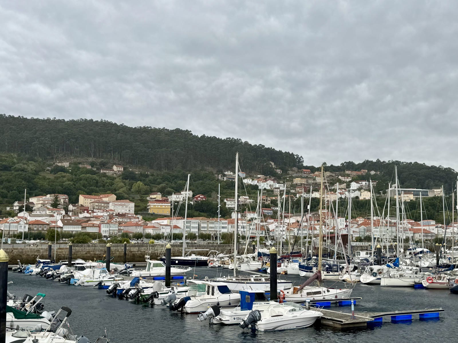 White and orange-roofed houses climbing a green hillside above a crowded marina.