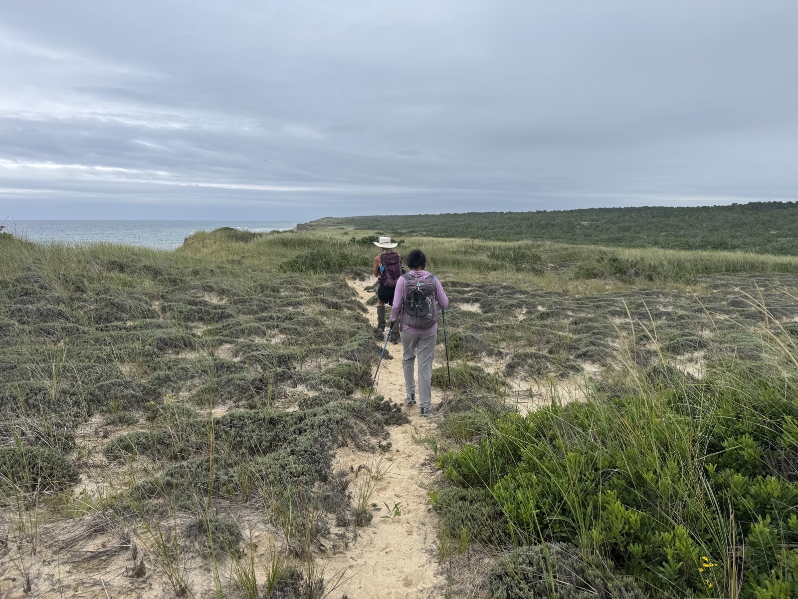 Two hikers walking along a sandy dune trail near the coast